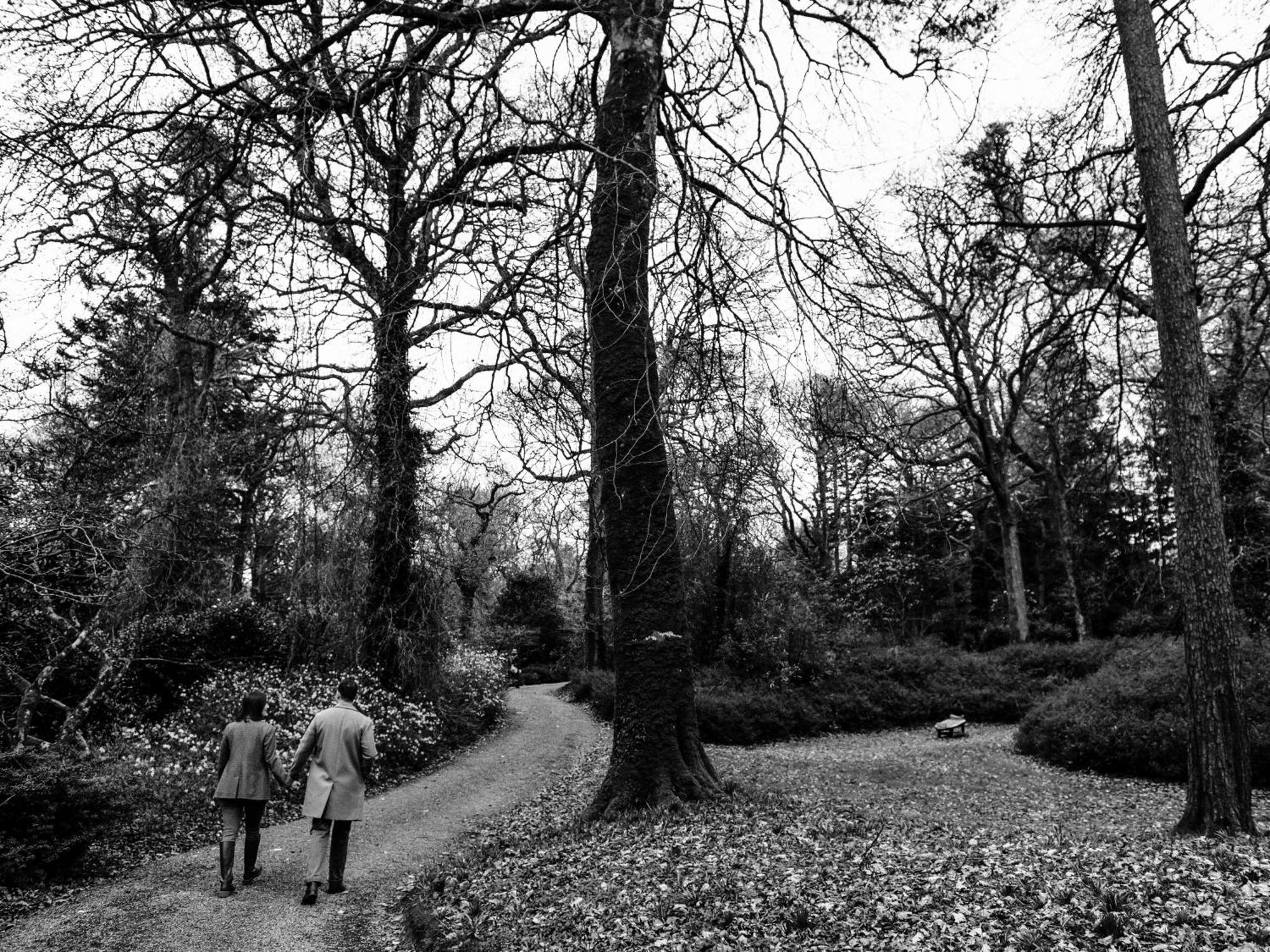The Forest At Mount Congreve Gardens Kilmeaden Экстерьер фото