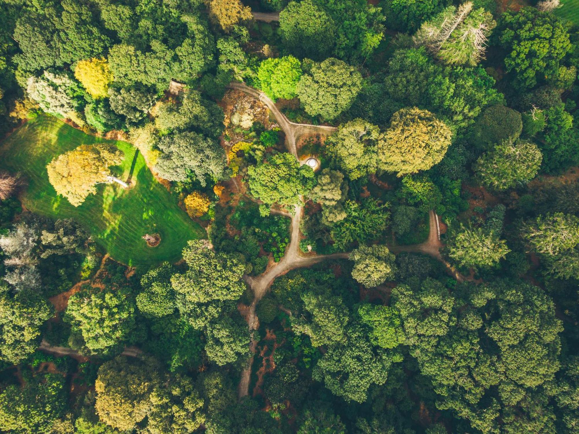 The Forest At Mount Congreve Gardens Kilmeaden Экстерьер фото