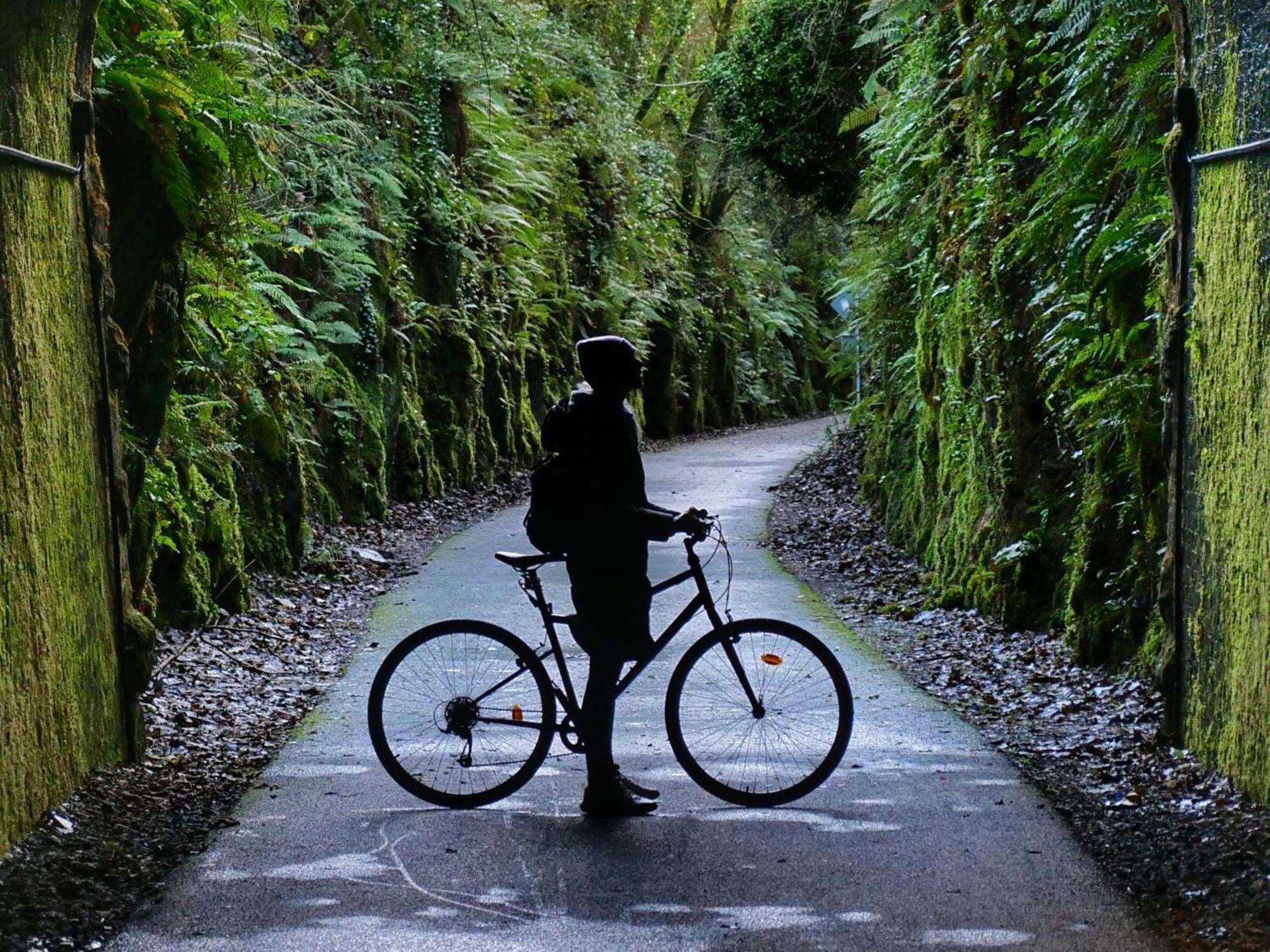 The Forest At Mount Congreve Gardens Kilmeaden Экстерьер фото